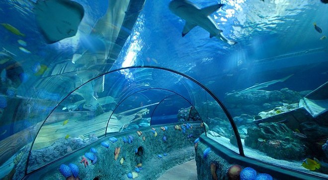 Аквариум Sea Life - коридор с акулами