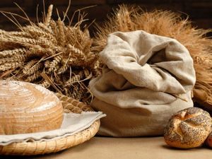 Фестиваль хлеба в Прато