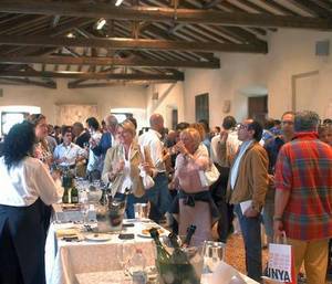 Международный фестиваль вина Конельяно Вальдоббьядене